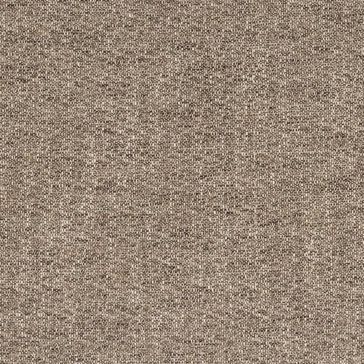 Tramea FR 48921107