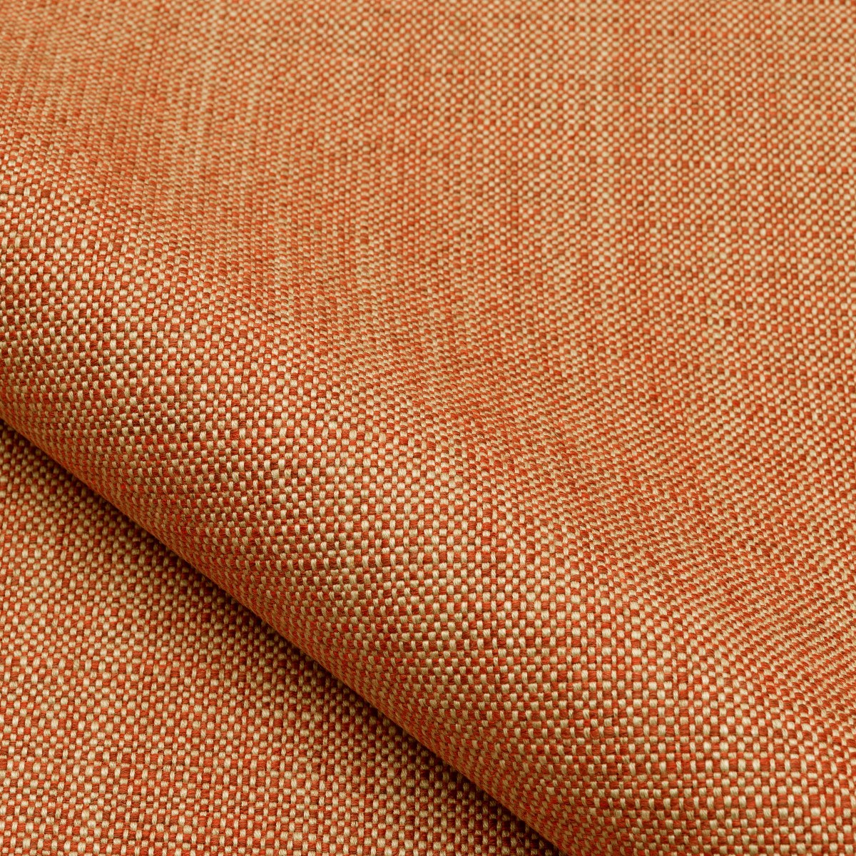 Campo 10803-50