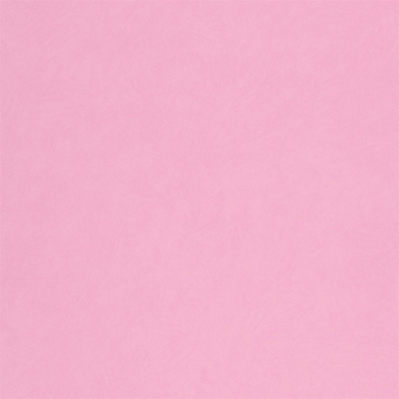 Candy. 70508