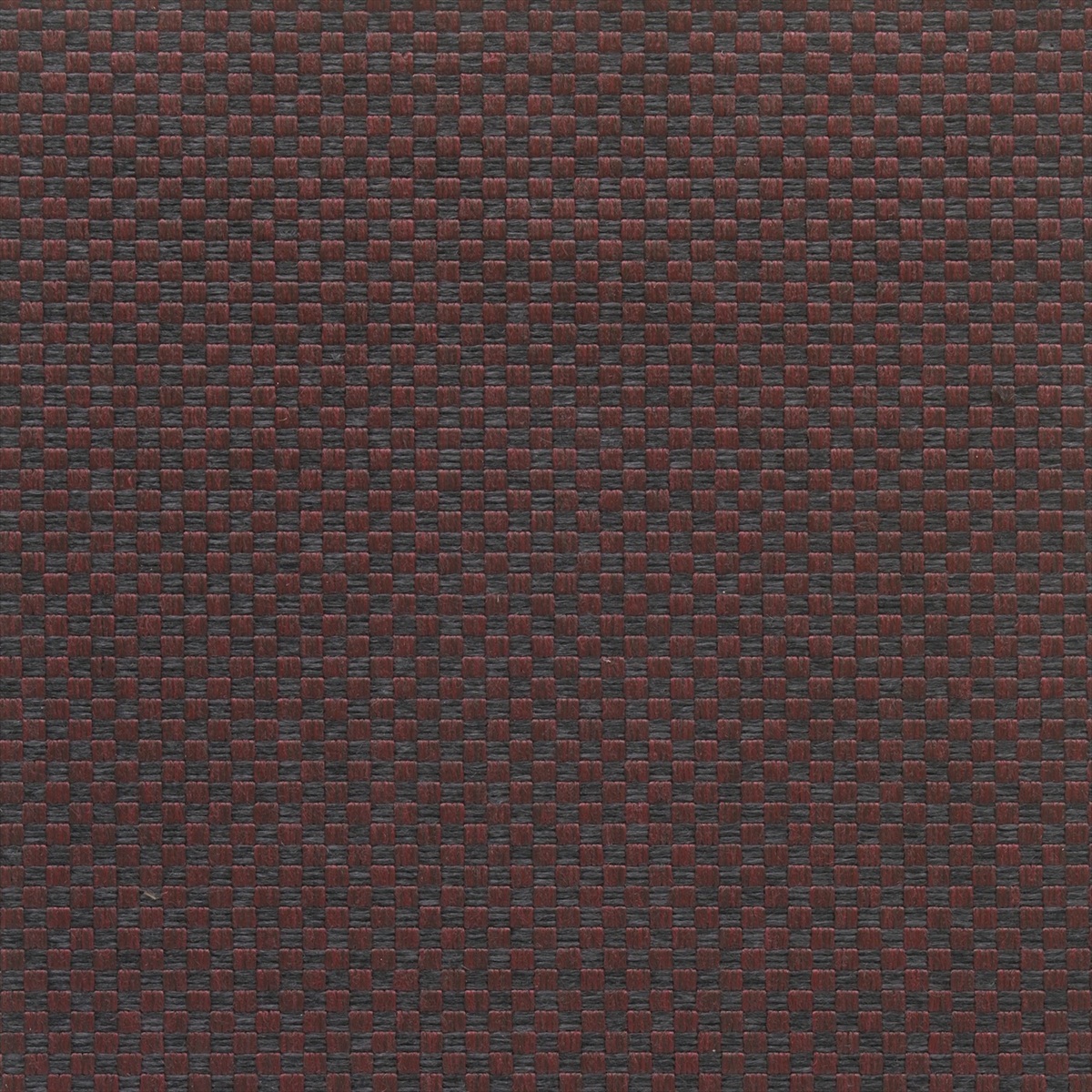 Canna 72880-9590