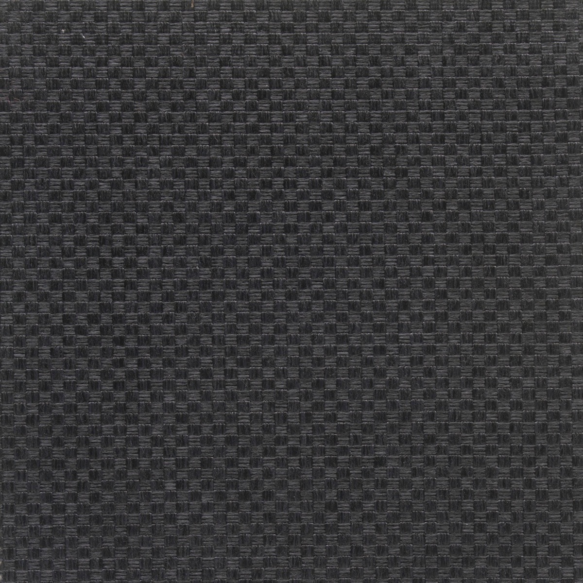 Canna 72880-9990