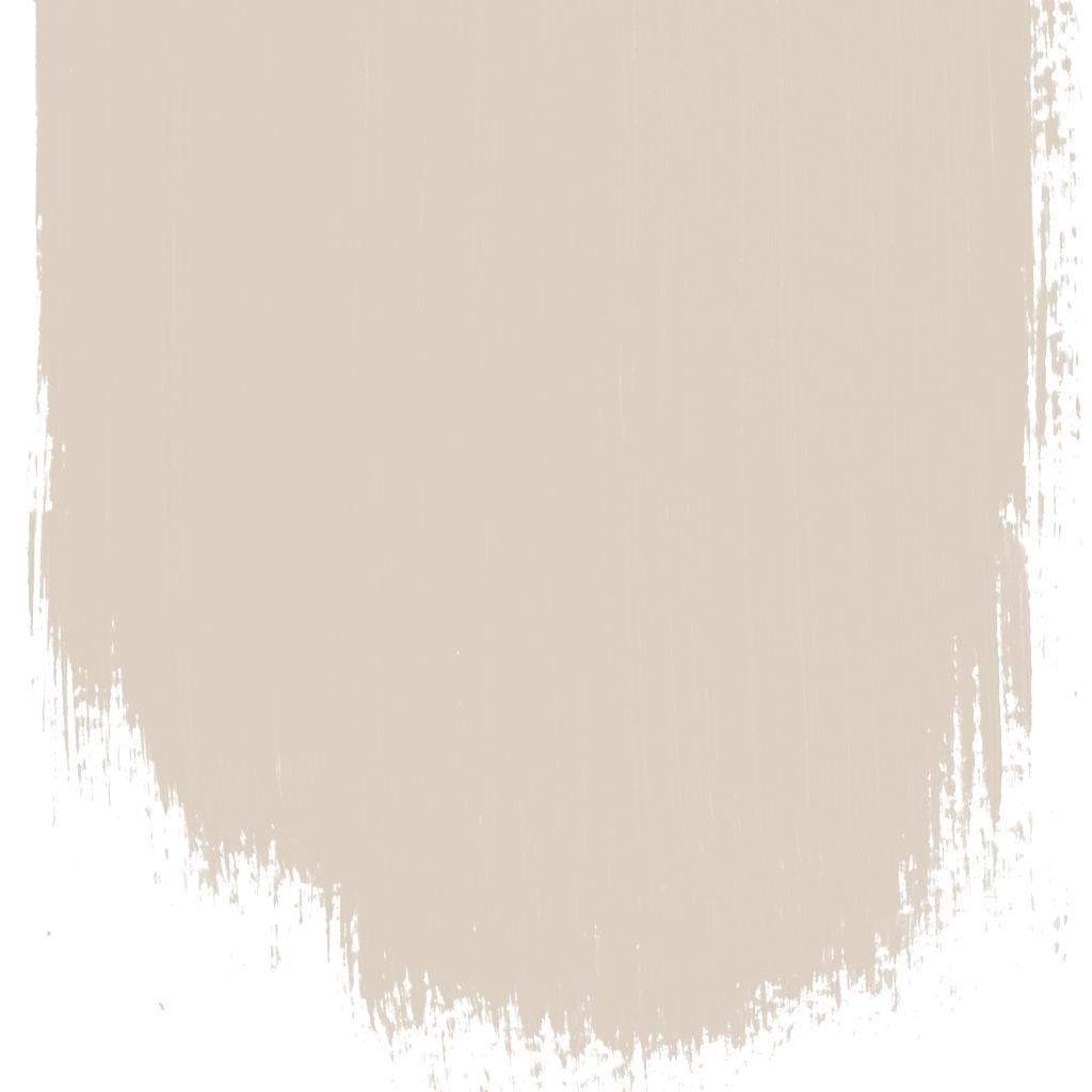Cantucci Biscuit No 19 Paint