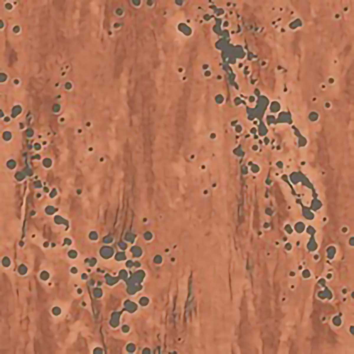 Canvas Textures OT71411