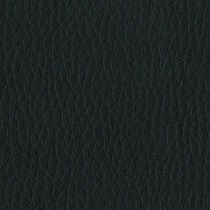 Capella CP01