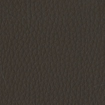 Capella CP04