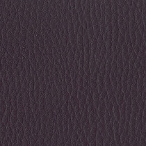 Capella CP29