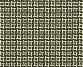 Capto 5000-1