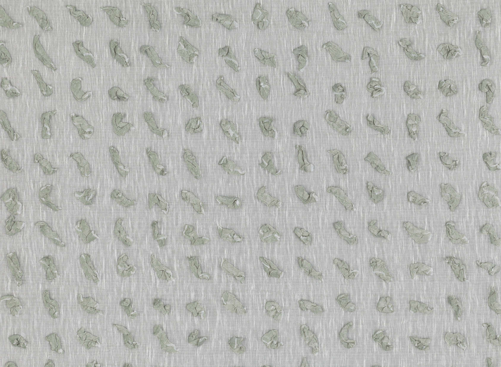 Cari Lichen V3417-02
