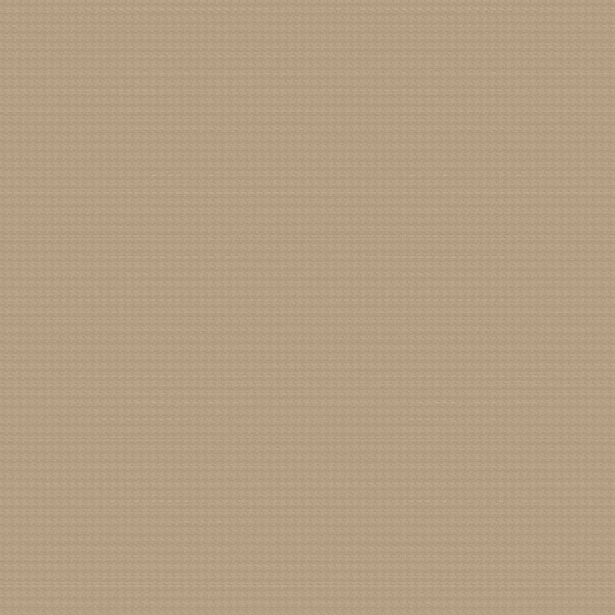 Allusione CA1458-020