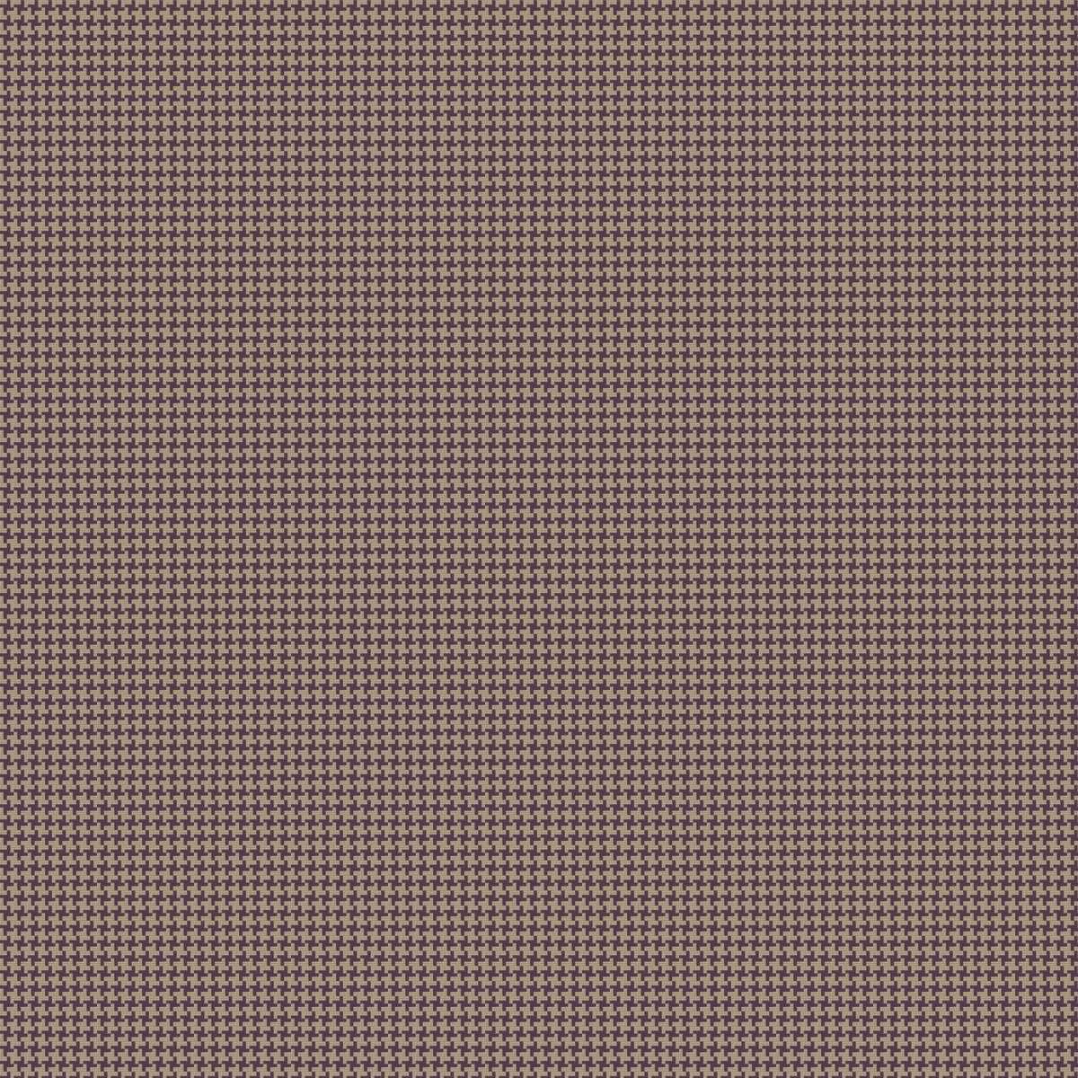 Allusione CA1458-081