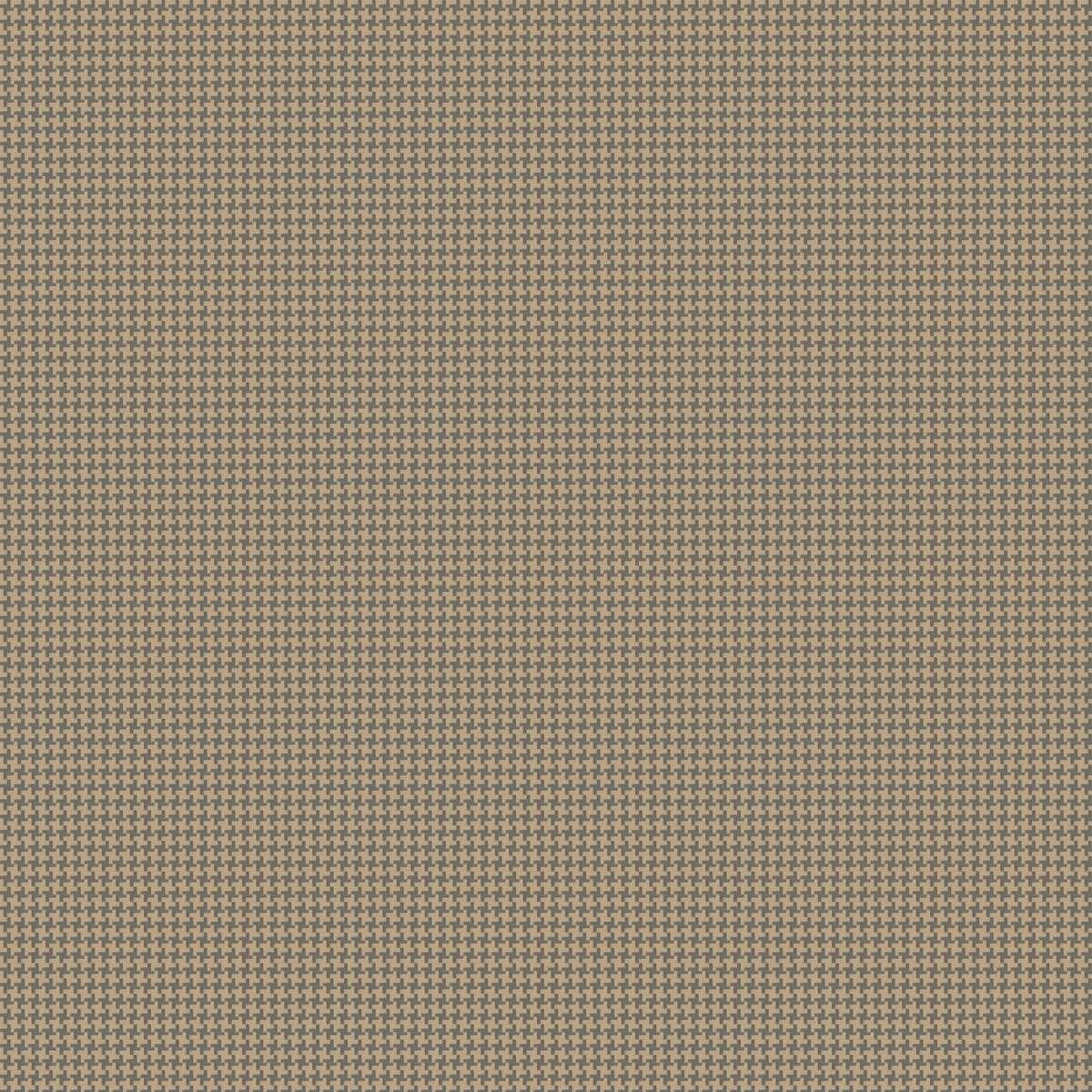Allusione CA1458-095