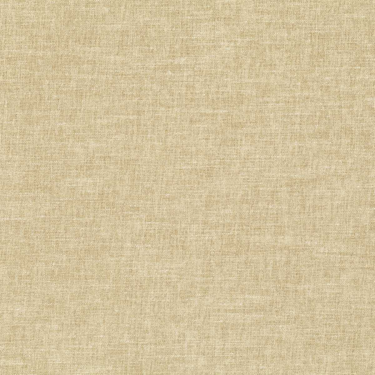 Ambience CA1815-031