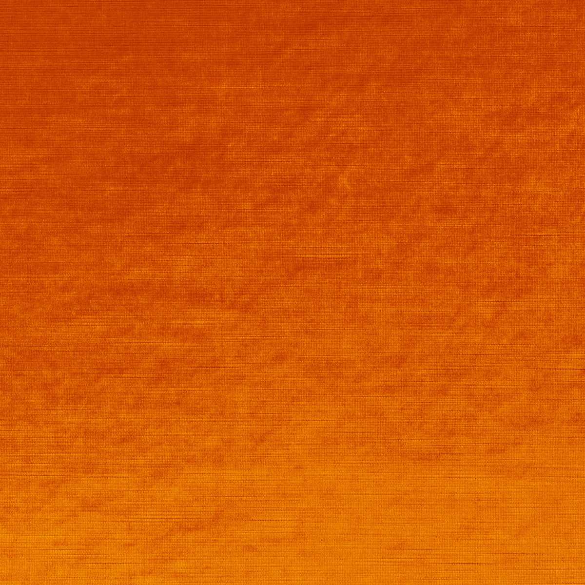 Glossy Velvet CA1263-061