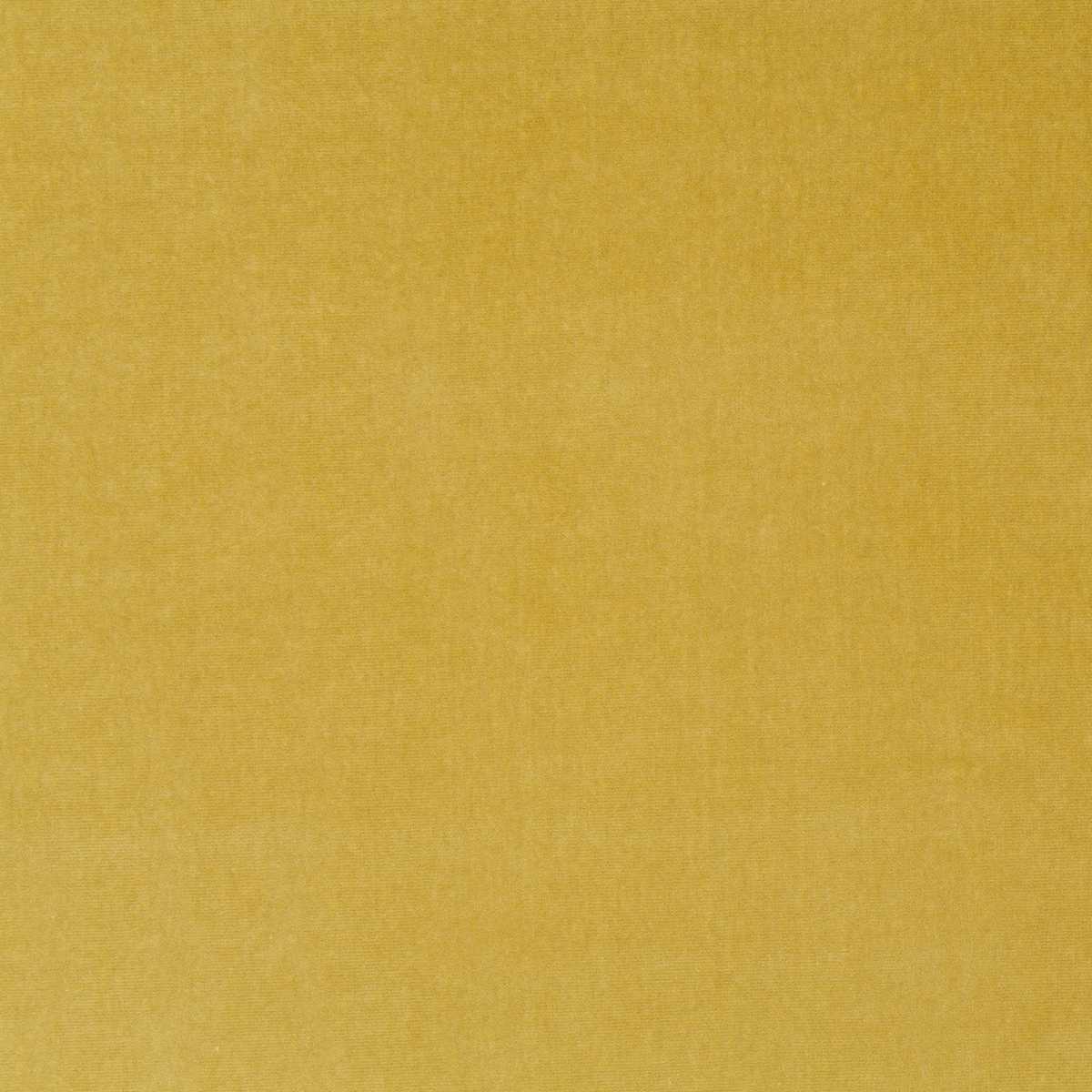 Velluto Di Cotone CA1410-041