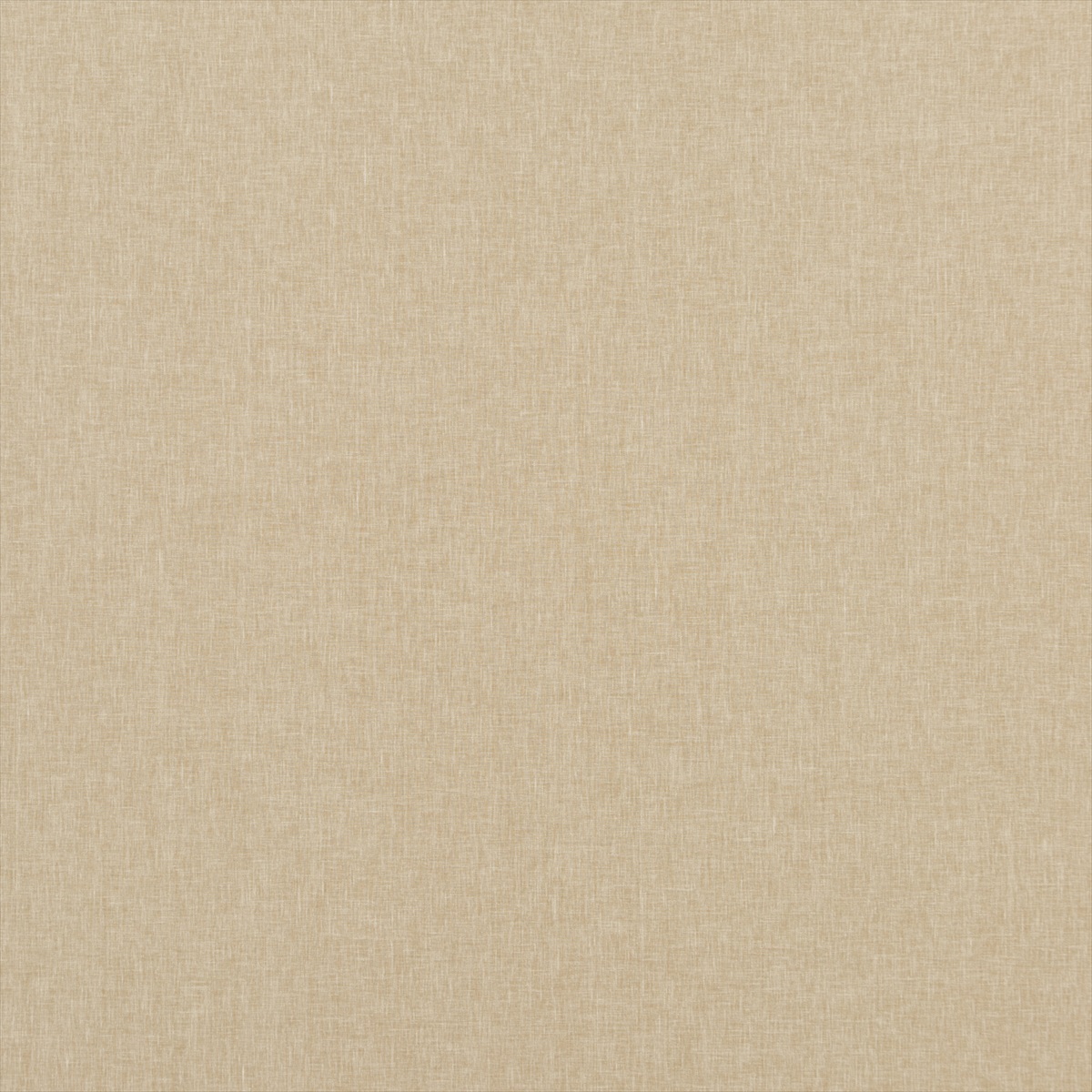 Carnival Plain PF50420-130