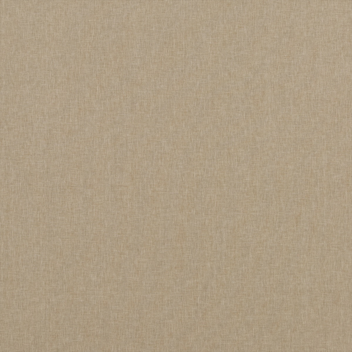 Carnival Plain PF50420-180