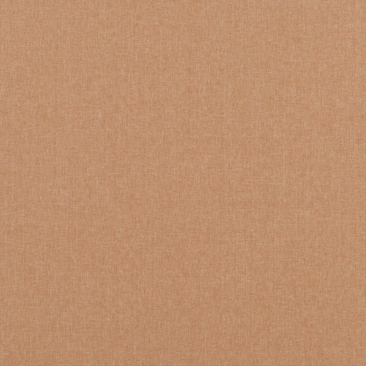Carnival Plain PF50420-324