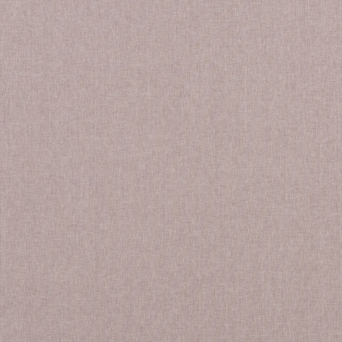 Carnival Plain PF50420-440