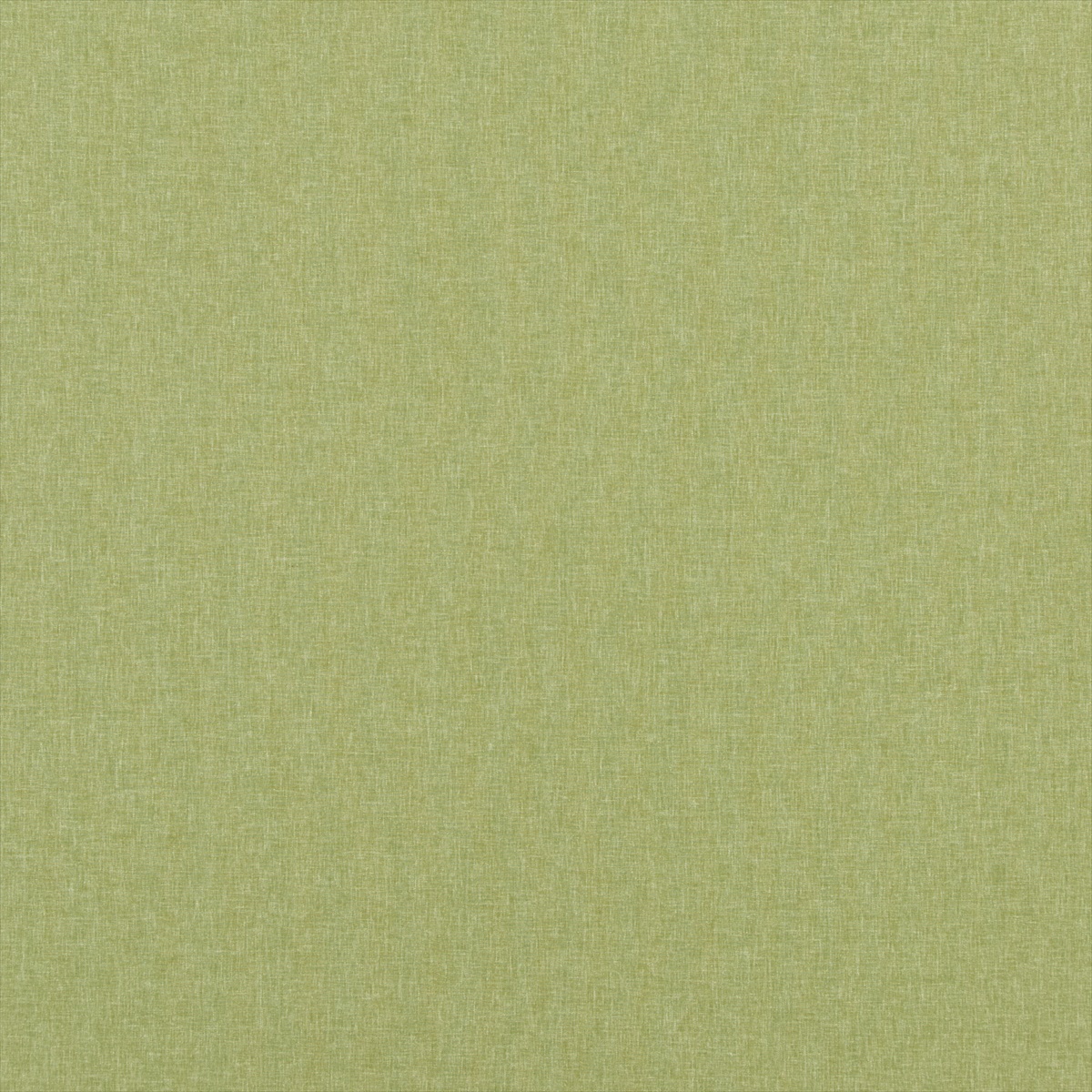 Carnival Plain PF50420-735