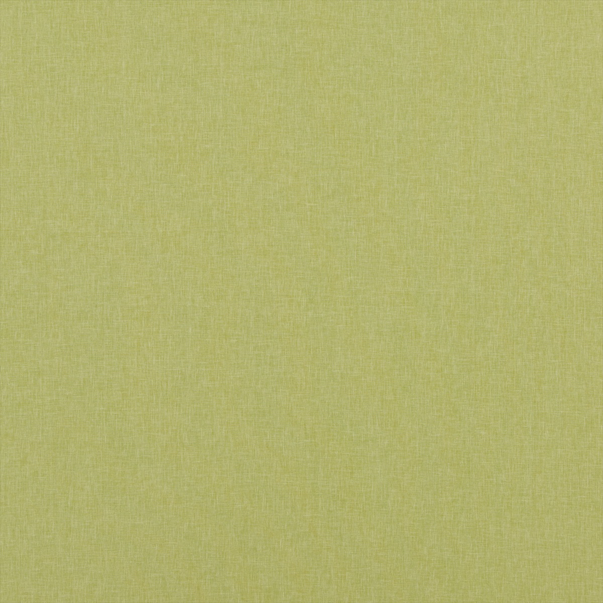 Carnival Plain PF50420-755