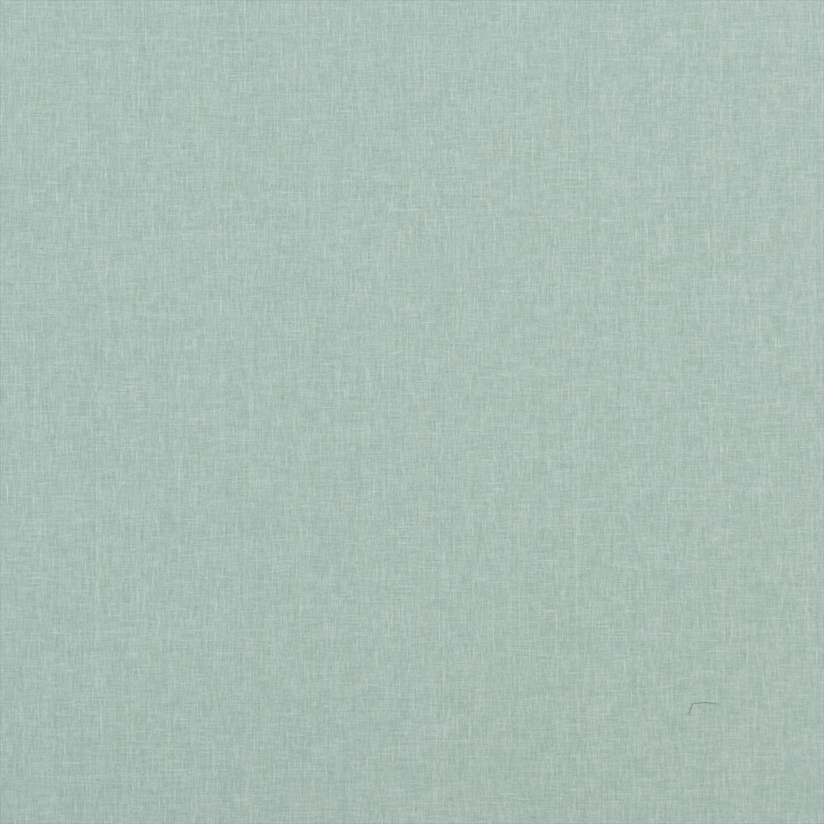 Carnival Plain PF50420-770