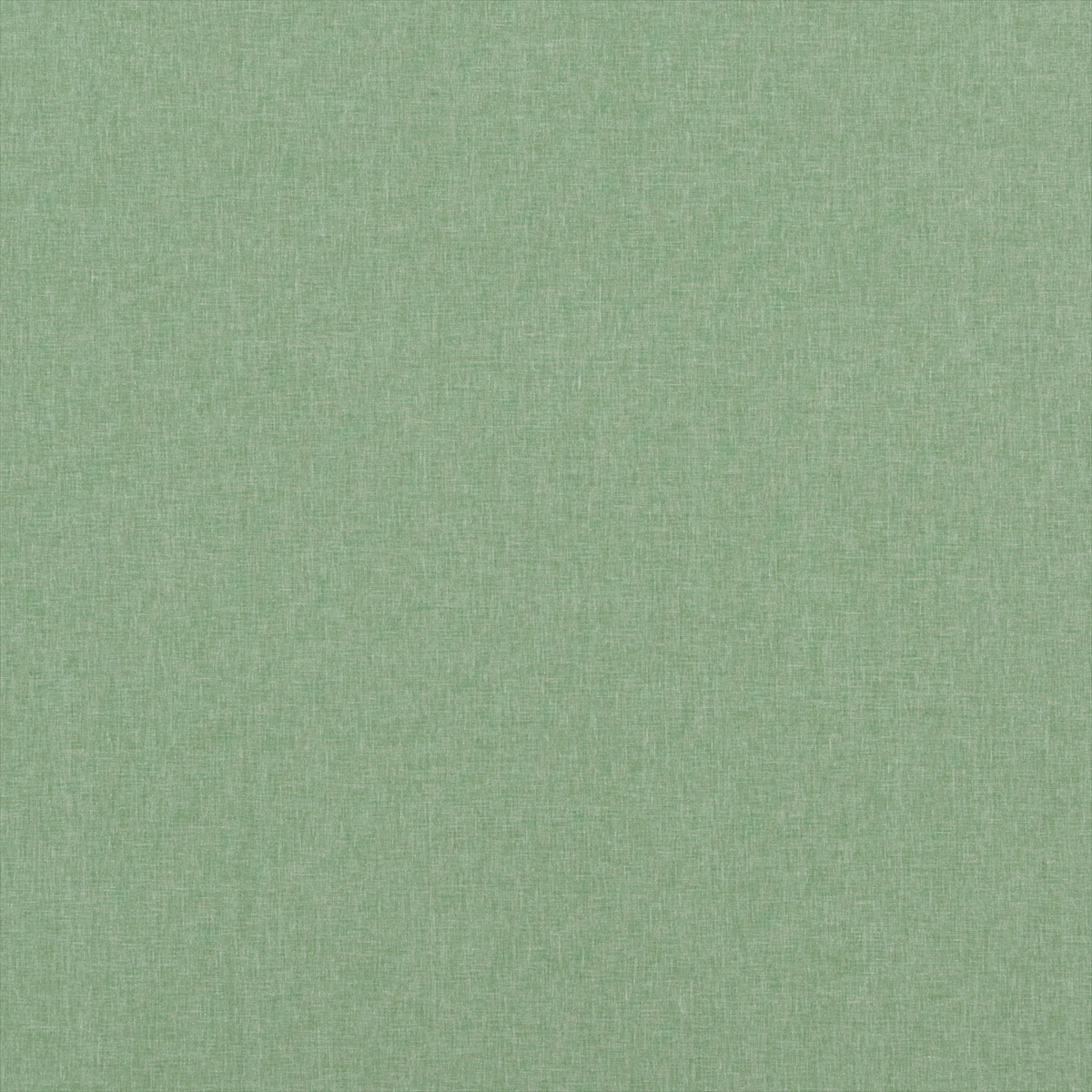 Carnival Plain PF50420-785