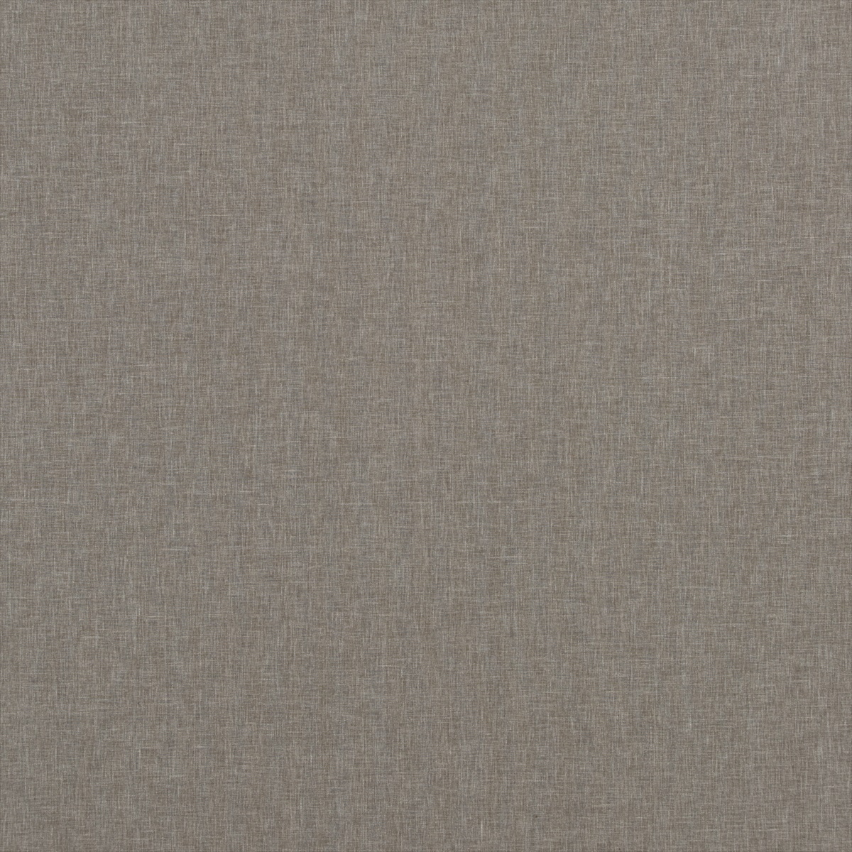 Carnival Plain PF50420-928