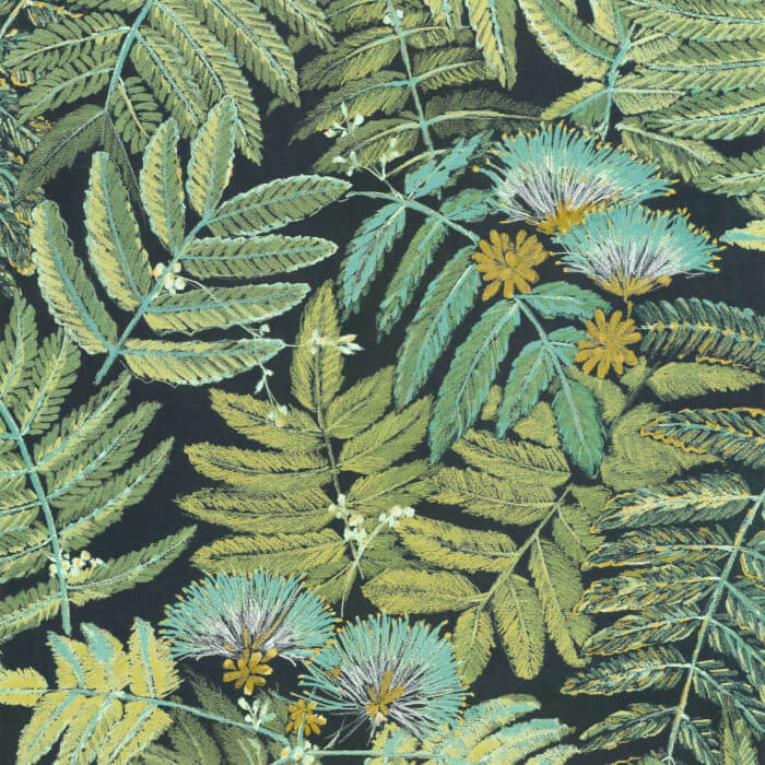 Botanica Albizia 85897247