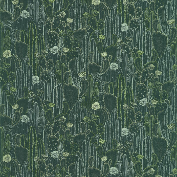Botanica Cactaceae 85927429