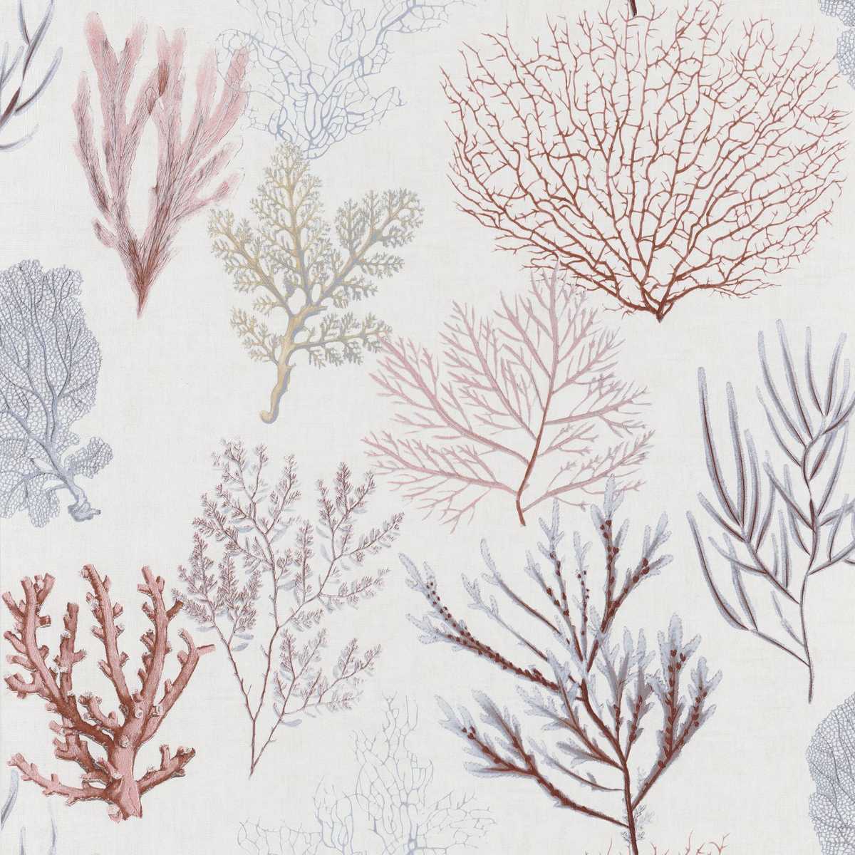 Corail SEAS83978121