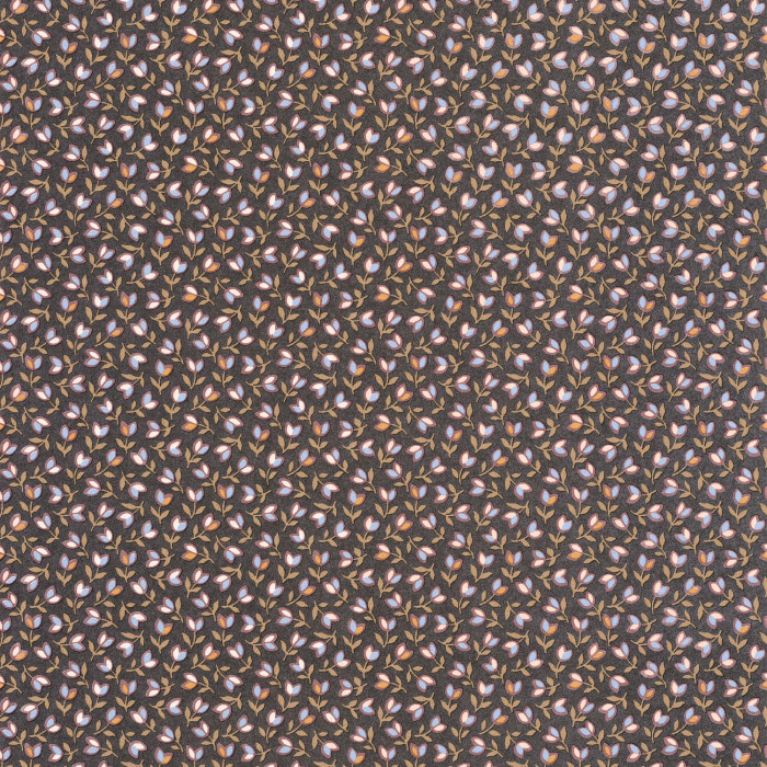Darwin Tulip 89259332