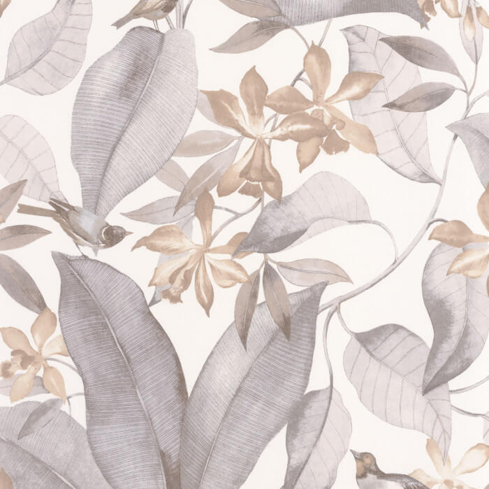 Delicacy Birdsong 85389242