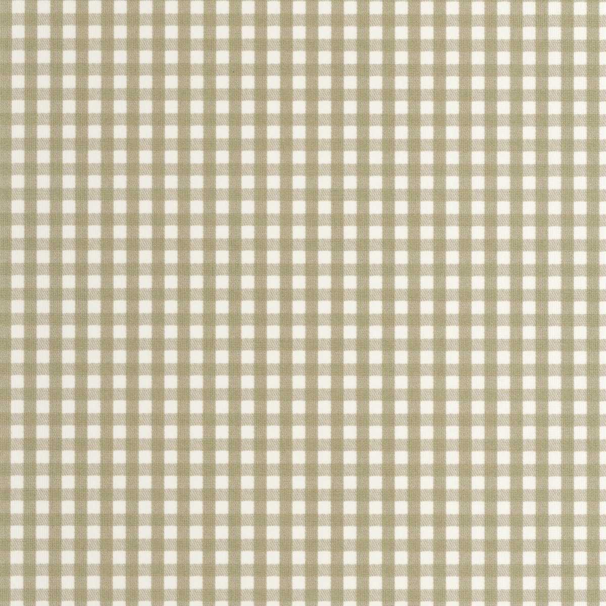 Gingham Charm 202067052