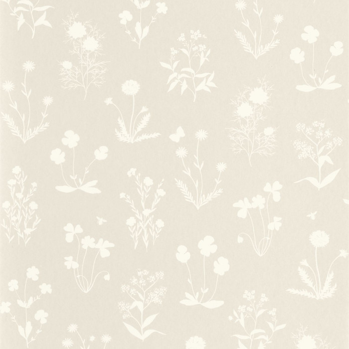 Herbier 87621218