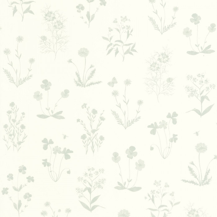 Herbier 87626209