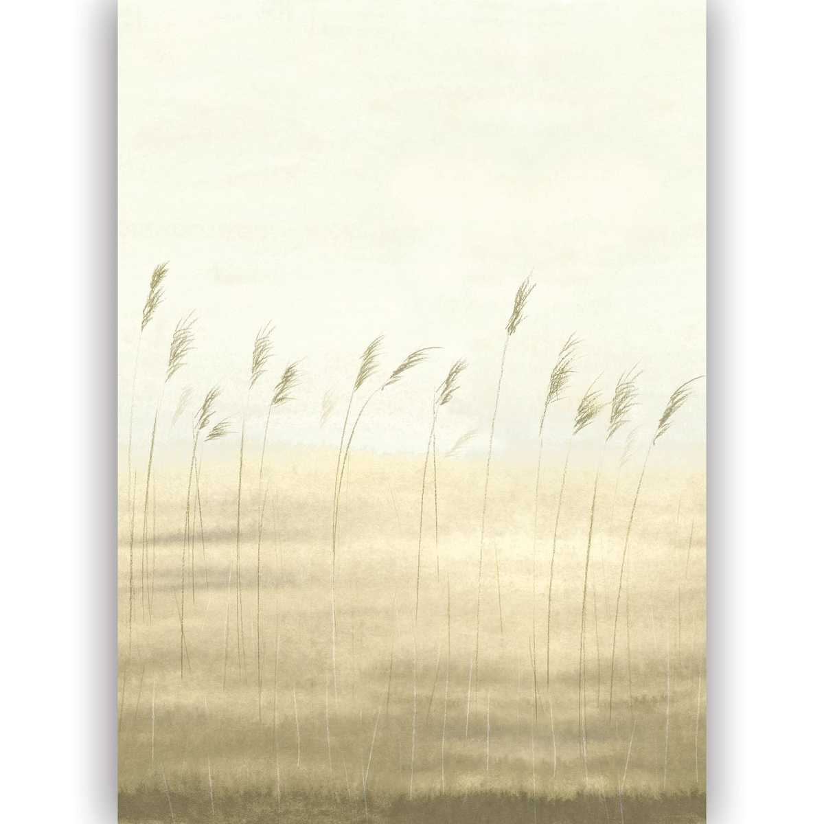 Jonc Des Dunes 200082703