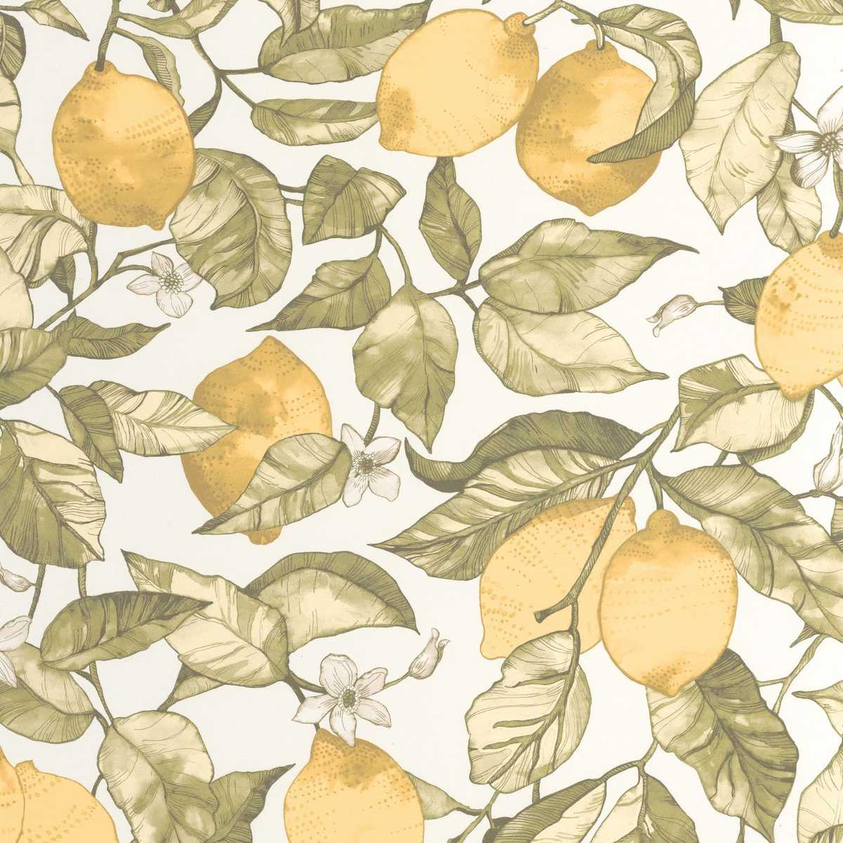 Lemon Tree 200277227