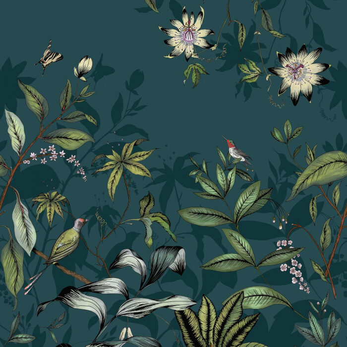 Passiflore 87086808