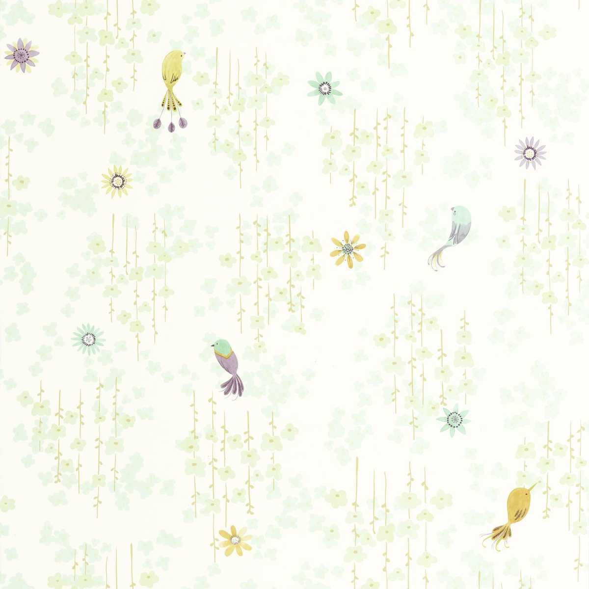 Tropical Birds 200787117
