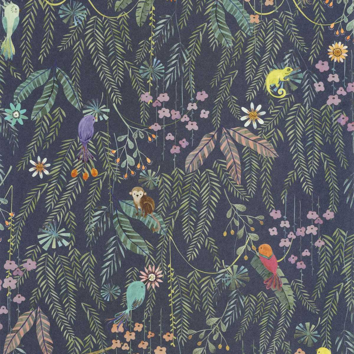 Tropical Forest 200756909