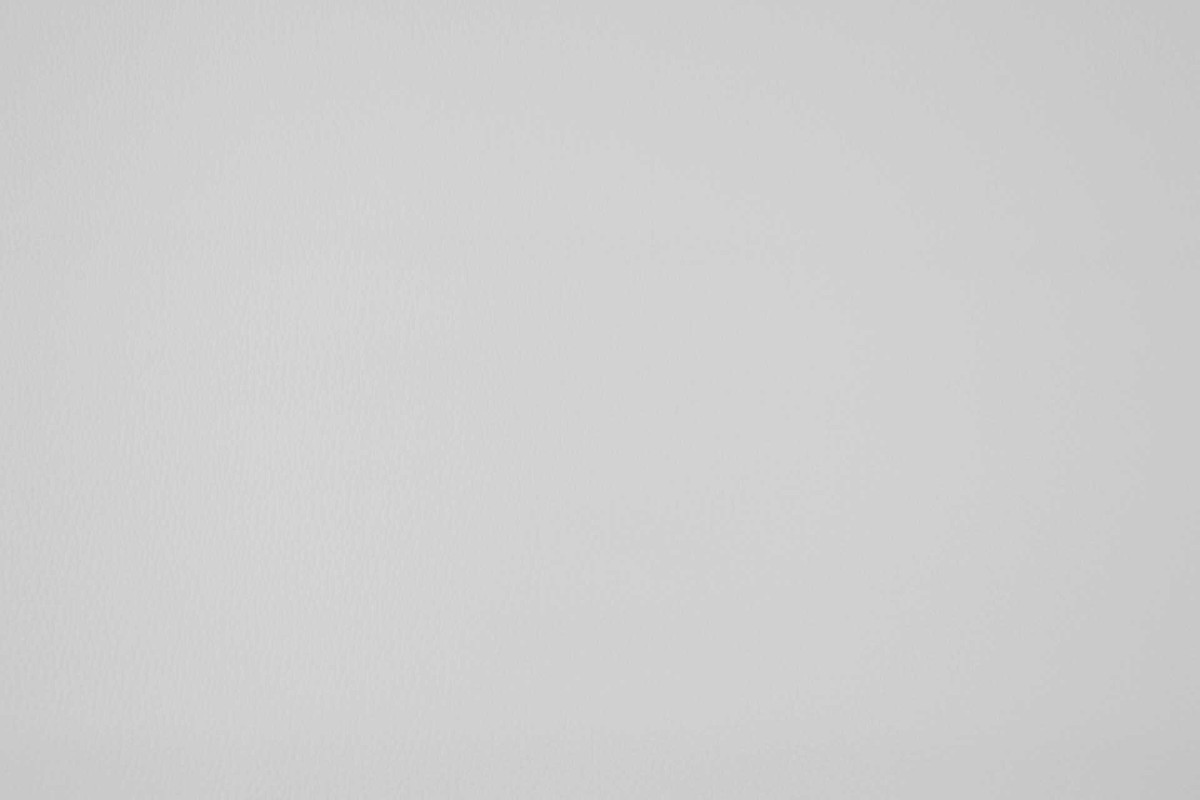 Beluga 5257-13