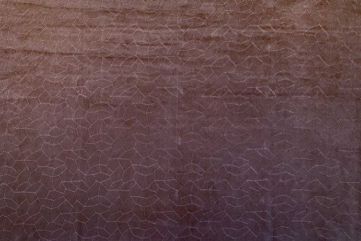 Capron 12731-53