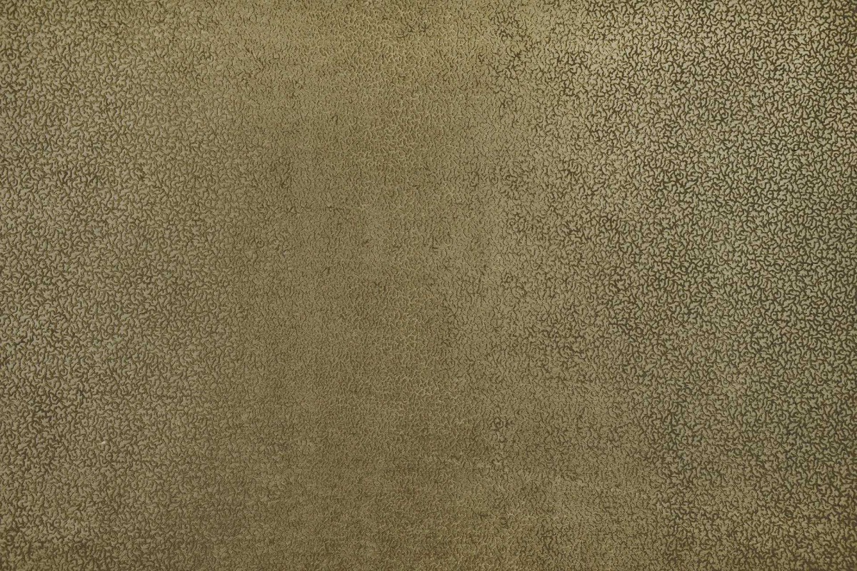 Cora 16503-33