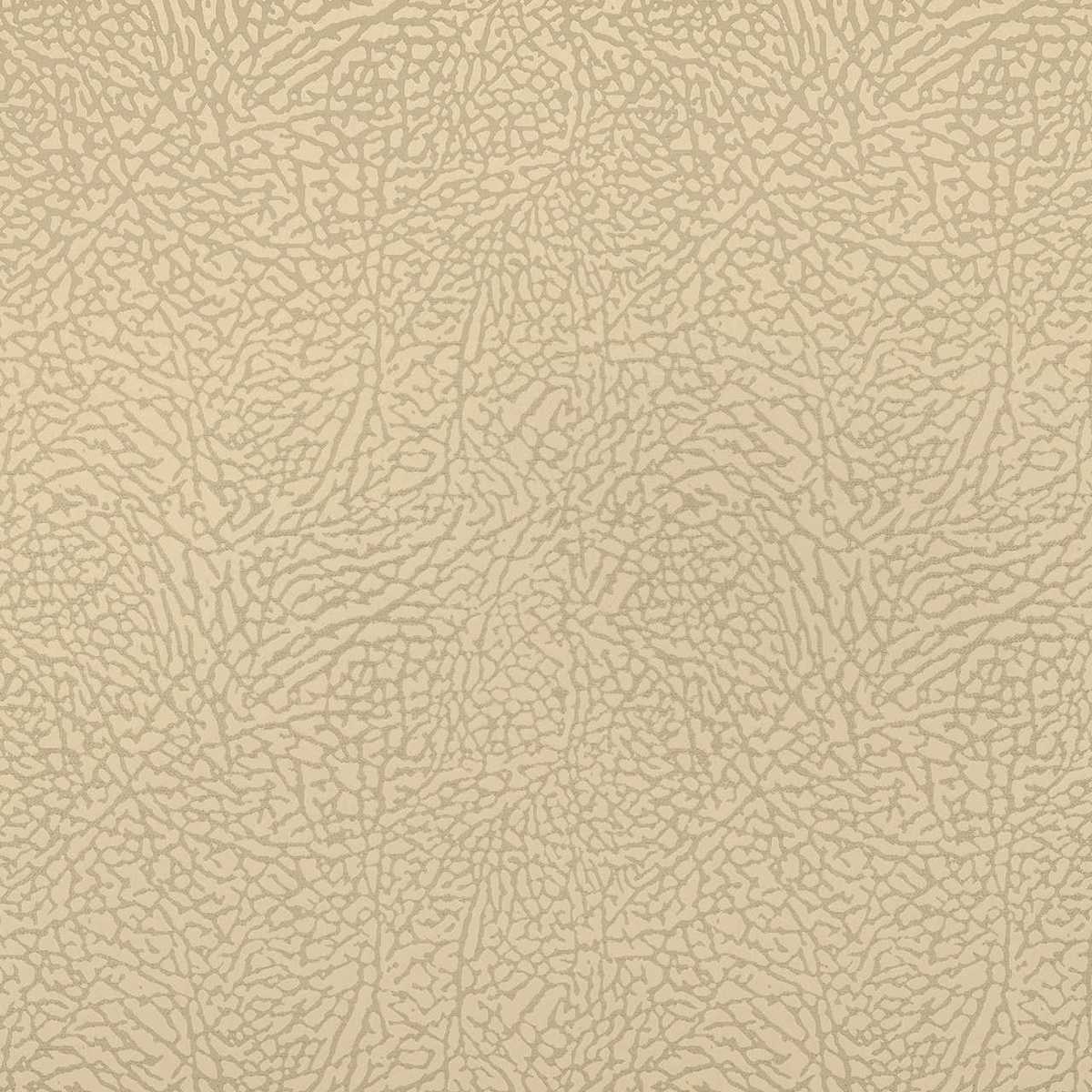 Ecume 13524-72