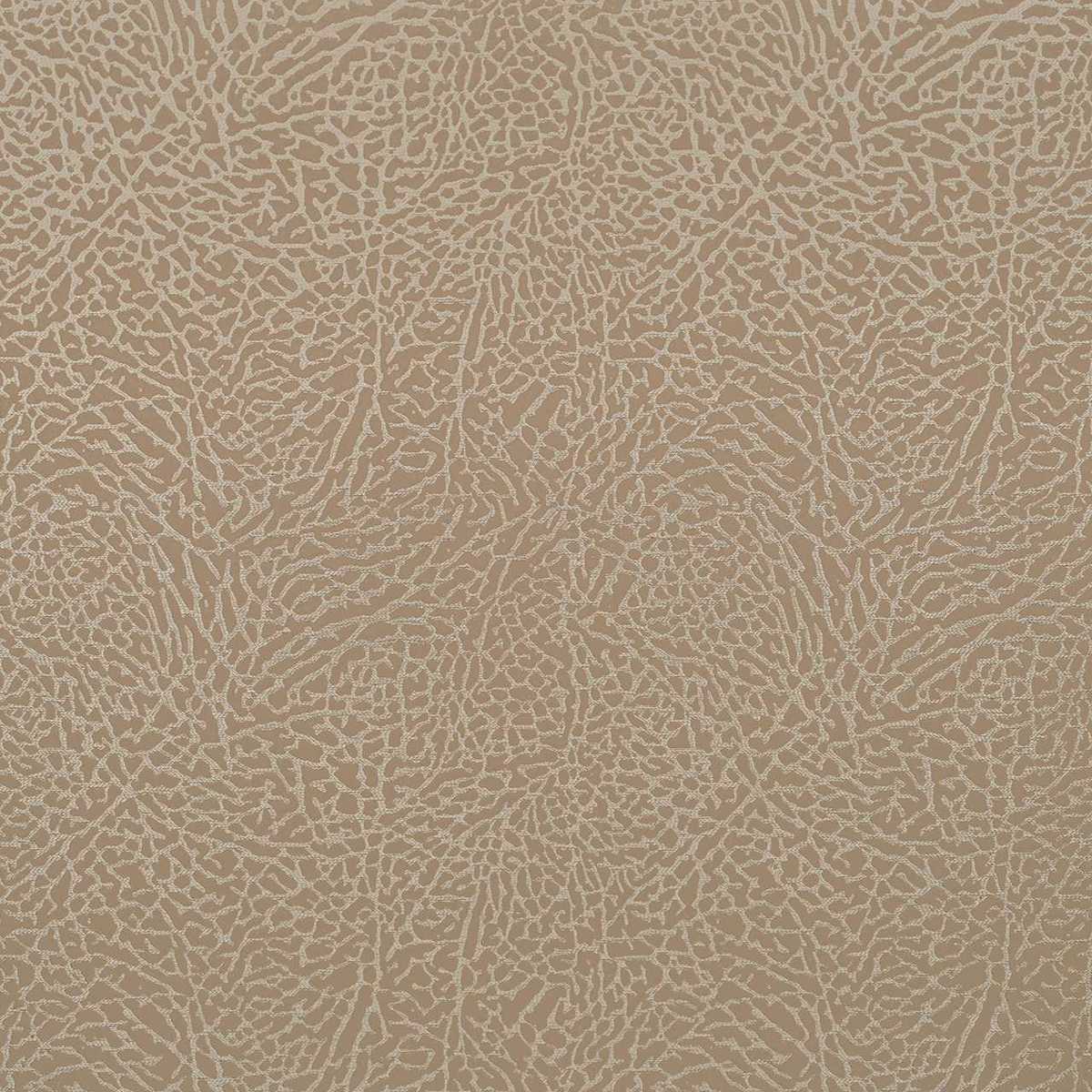 Ecume 13524-73