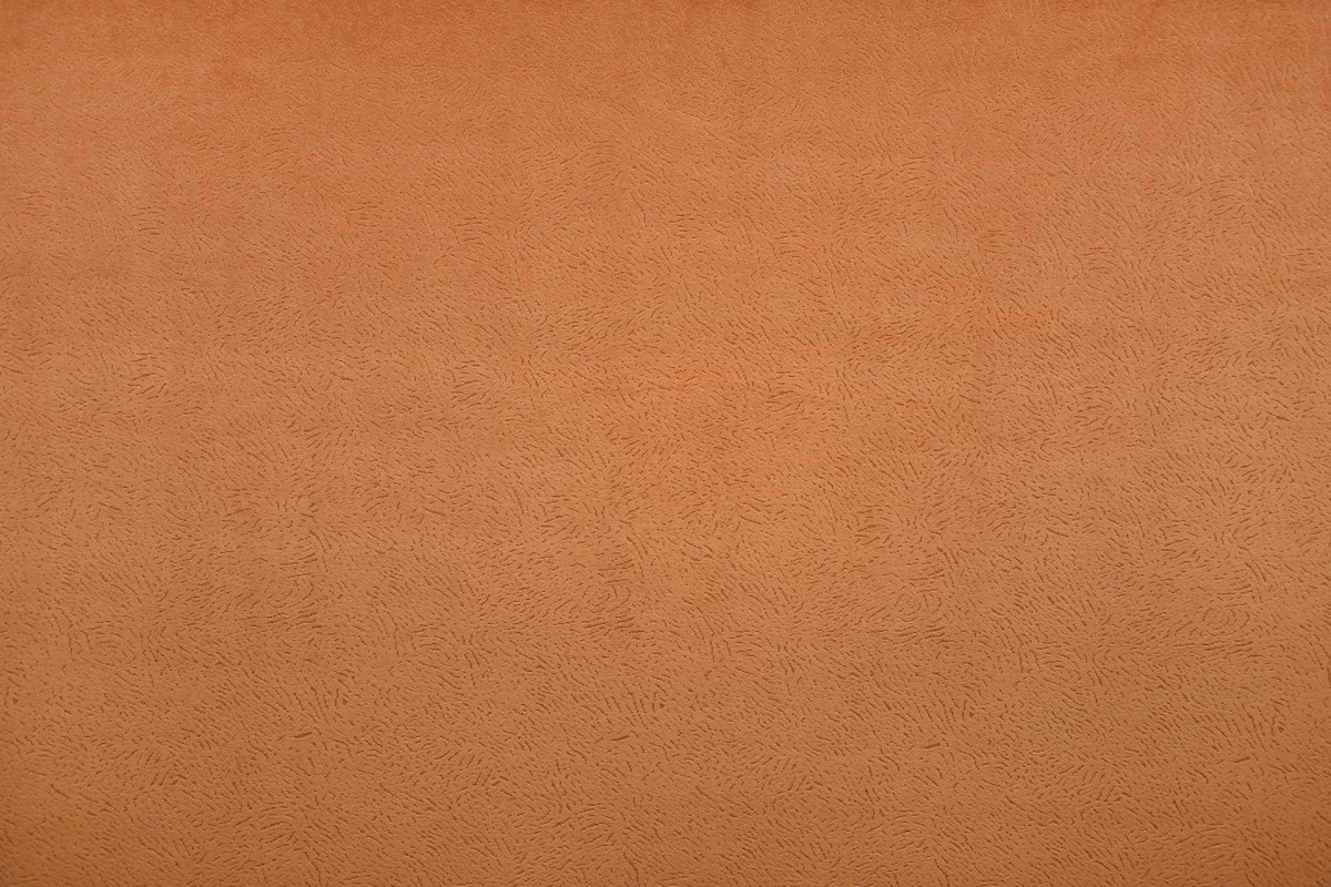 Extase 12740-20