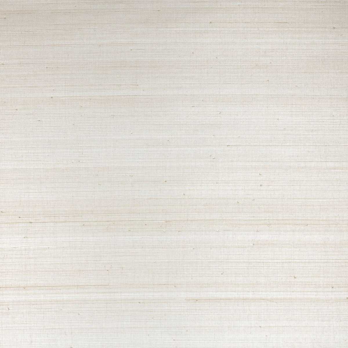 Abaca 71800925