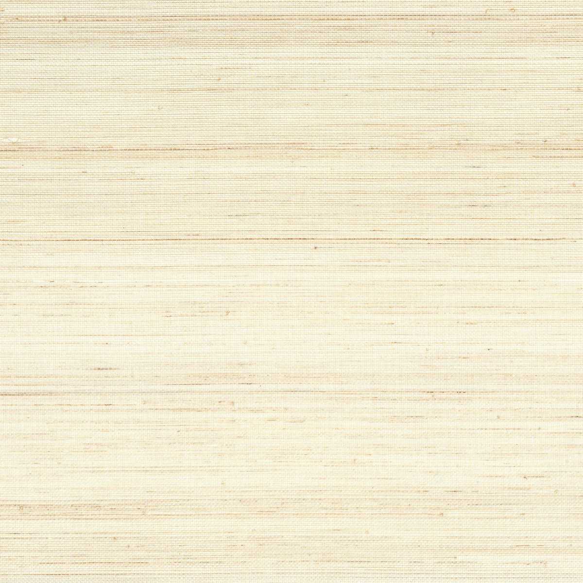 Abaca 71805035