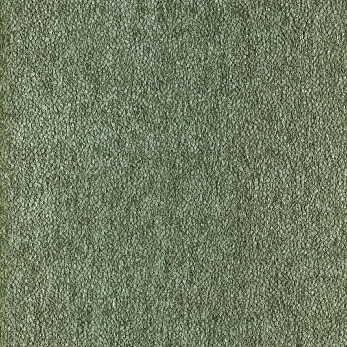 Chroma 92161425