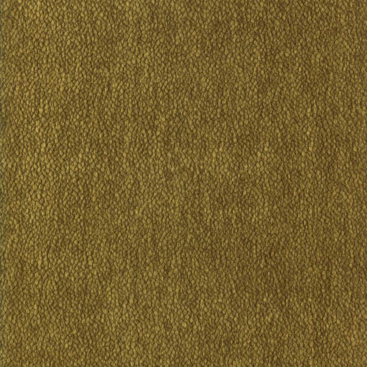 Chroma 92161681